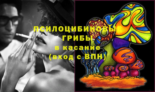 a pvp Богородицк