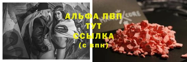 гашик Богданович