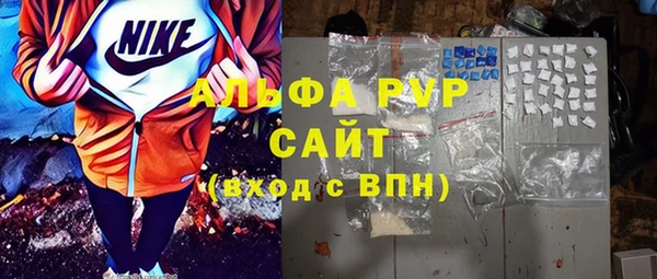 гашик Богданович