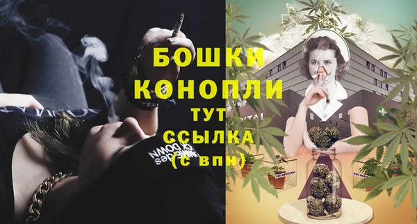 гашик Богданович