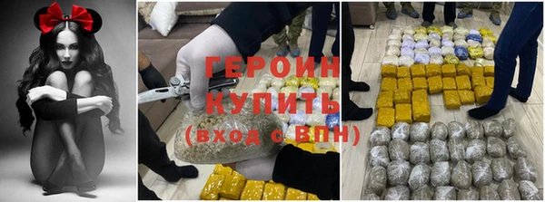 гашик Богданович